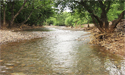 River in Sanjay Gandhi National Park